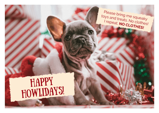 christmas card with a funny dog saying